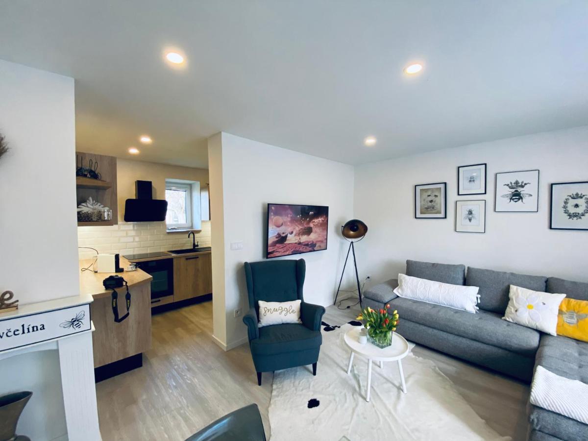 צ'לומץ נד צידלינו Apartman U Vcelina מראה חיצוני תמונה